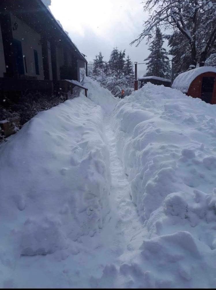 Villa Rozpravkova Hajenka V Nizkych Tatrach Brezno Exterior foto